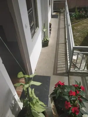 a porch with flowers and plants on a house at Landy Queen in Munnar