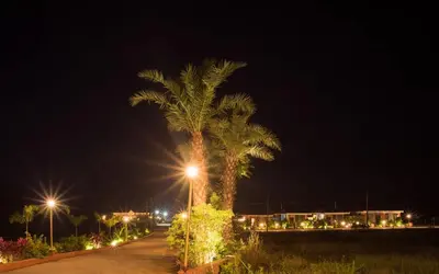 a palm tree is lit up at night at Sixth Element in Kushālnagar