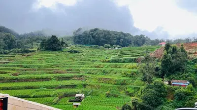 a large green field with trees on a hill at Mountain View cottage in Ooty