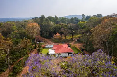 a house in the middle of a forest with purple flowers at Ama Plantation Trails Coorg in Gonikoppal