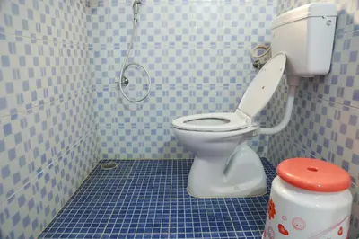 a bathroom with a toilet with a shower in it at Coimbatore Home Stay & Serviced Apartment in Coimbatore