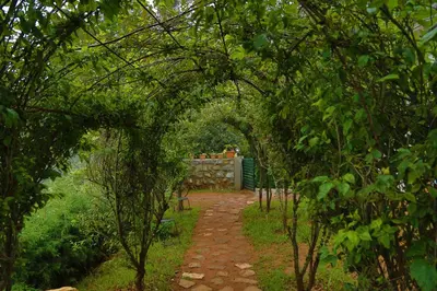 a path through an arch of trees in a garden at The Tamarillo in Ooty