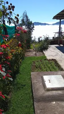 a garden with red flowers and a body of water at The Views - True Baduaga Living in Ooty