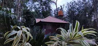 a small house in the middle of a forest at RAI COTTAGE @ Coorg ,Suntikoppa in Suntikoppa