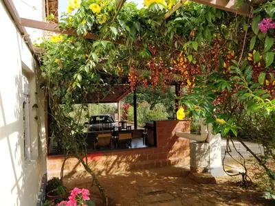 a garden with a pergola and a table at Kabbe Holidays in Madikeri