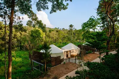 a white tent in the middle of a forest at Machaan Wilderness Lodge Nagarahole in Srimangala
