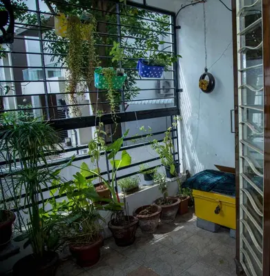 a room with a bunch of plants on a wall at Homestay for Women in Coimbatore