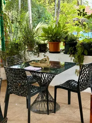 a table and chairs with plants on a patio at Gloria Homestay ,Thrissur - Pooram Bookings open Apr 25-27 in Trichūr