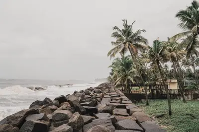 a rock wall next to the ocean with palm trees at Swasthigriha's Beach Homestay, Cherai in Cherai Beach