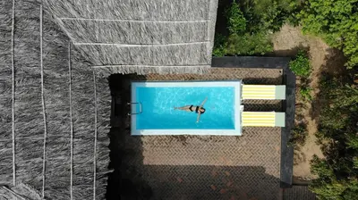 an overhead view of a swimming pool with a butterfly in the water at SpiceTree Chinnar in Dhali