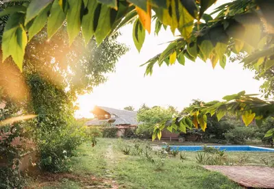 a view of a house and a yard with a pool at SpiceTree Chinnar in Dhali