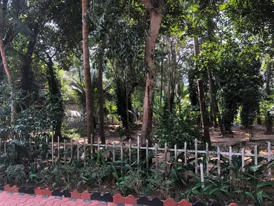 a wooden fence in a park with trees at Ayuryogashram Heritage in Trichūr