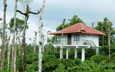 a house in the middle of trees at THE SUVISTARA WAYANAD KERALA in Meenangadi