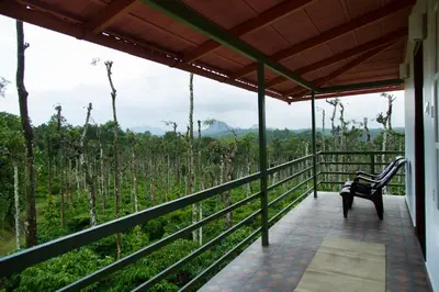 a bench on a porch with a view of a forest at THE SUVISTARA WAYANAD KERALA in Meenangadi