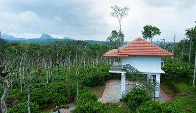 a house with a staircase in the middle of a forest at THE SUVISTARA WAYANAD KERALA in Meenangadi