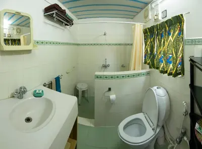a bathroom with a sink and a toilet at Bamboo Banks Farm & Guest House in Masinagudi
