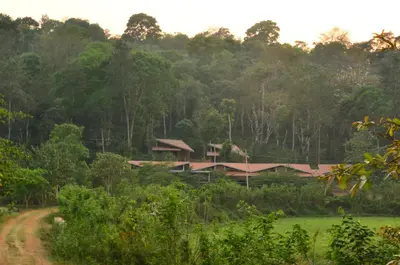 a house in the middle of a forest with a dirt road at Estate Stay - Riverside Coffee in Siddapur