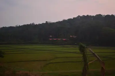 a large green field with a house in the distance at Estate Stay - Riverside Coffee in Siddapur