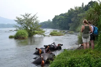 a group of people standing on elephants in a river at Jippus Galaxy Budget Air port hotel in Cochin