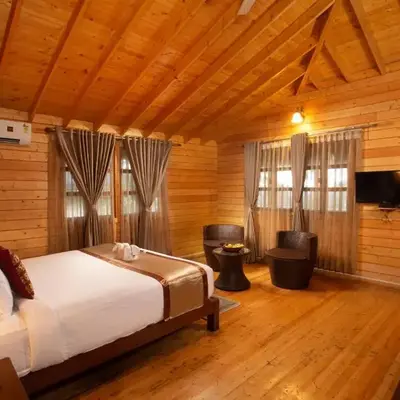 The Porcupine Castle Resort