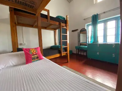 a bedroom with a bed and bunk beds at The Birdhouse Backpackers Hostel in Coonoor