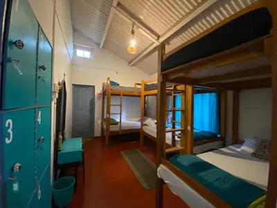a dorm room with bunk beds in it at The Birdhouse Backpackers Hostel in Coonoor