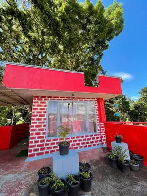 a red brick house with potted plants in front of it at Ganga's Sri Balaji Cottage in Ooty