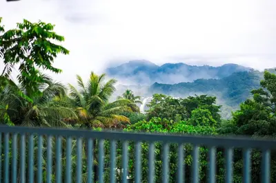 a fence with a view of the mountains and trees at Athirappilly Rainland Resort in Athirappilly
