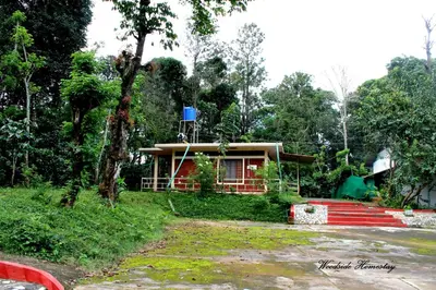 a small house in the middle of a forest at Woodside Homestay Wayanad in Batheri