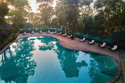a swimming pool with chairs and umbrellas at Coorg Wilderness Resort & Spa in Madikeri