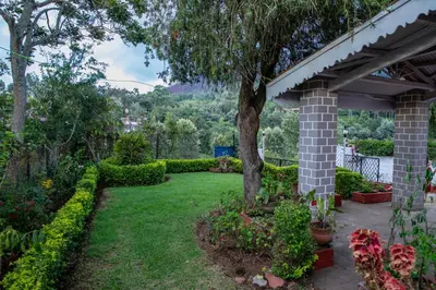 a garden with a tree and some bushes at JJS Cottages in Coonoor