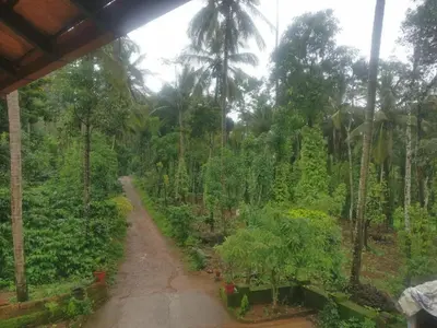 a dirt road in a garden with trees and plants at Leela Farm Stay - Exclusive for Group Stay in Madikeri