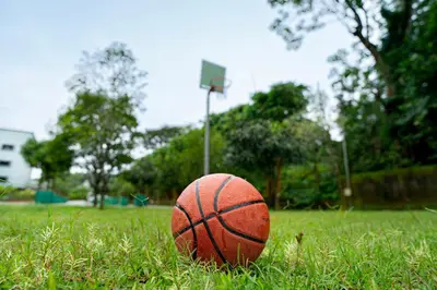 a basketball sitting in the grass in a field at The Sanihara Hotel & Resort in Vythiri