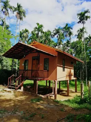 a small house with a balcony and palm trees at Family villa .hut in Tariyod