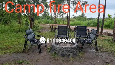 a group of chairs sitting on a stump at Shining Caves Resort in Varagampadi
