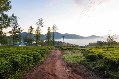 a dirt road in the middle of a field at Villa Hugel ooty By StayVista in Ooty
