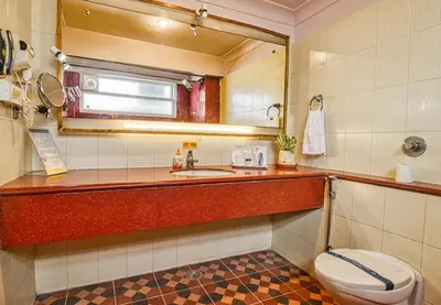 a bathroom with a toilet and a sink and a mirror at Parklane Hotel in Mysore
