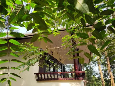 a balcony of a house with green trees at Green Garden Lotus in Vythiri