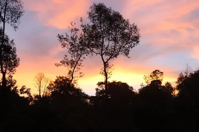a sunset with trees in the foreground at Siddhi Aloha in Madikeri