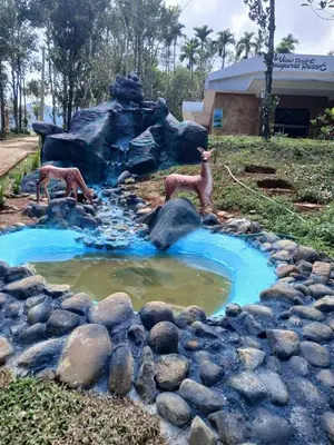 two fake animals standing in a pool of water at Viewpointwayanad in Mananthavady
