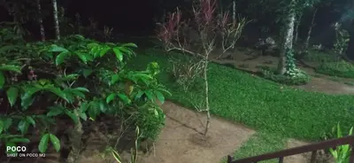 a view of a garden at night at Family villa is a hut style accommodation in Tariyod