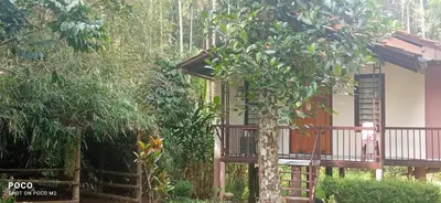 a small house with a tree in front of it at Family villa is a hut style accommodation in Tariyod