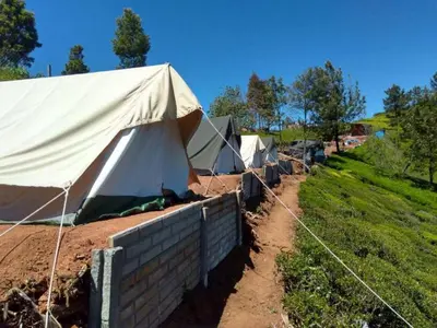 a row of tents in a field next to a fence at Swiss Tents in Ooty, Tn in Ooty