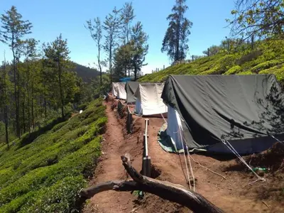 a row of tents on a dirt road at Swiss Tents in Ooty, Tn in Ooty