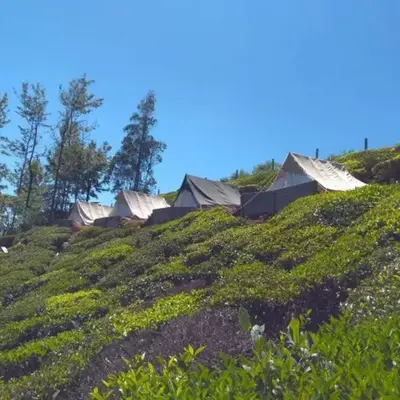Swiss Tents in Ooty
