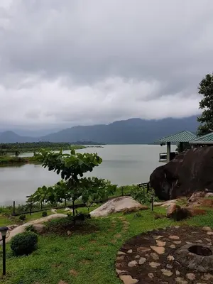 a view of a lake with a tree in the foreground at Diga vista resorts in Palakkad