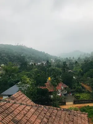 an overhead view of a village with roofs and trees at mangosteen holidays in Vythiri