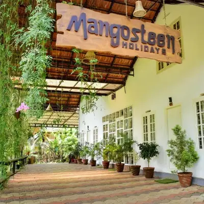 mangosteen holidays