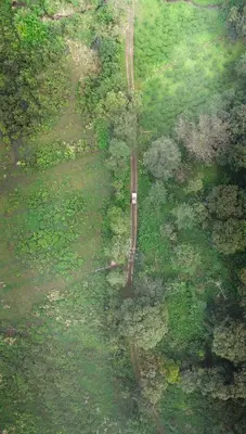 an overhead view of a forest with a road at Janiro Tea Trees Villas in Vythiri