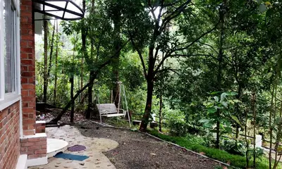 a bench sitting on a porch next to a tree at Aruvi homestay in Vythiri